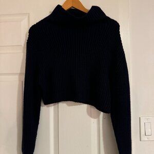 Aritzia Wilfred Merino Wool Boxy Cropped Ribbed Turtleneck Sweater